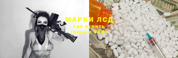 СК Дубна