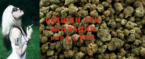 СК Дубна