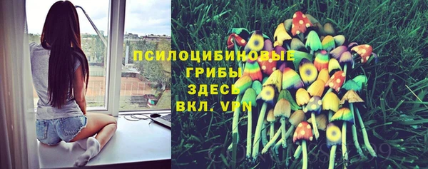 mdpv Пестово