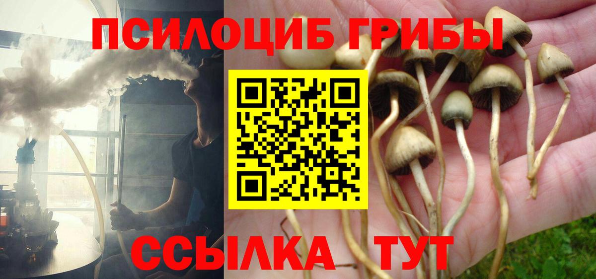 Крымск  Галлюциногенные грибы Magic Shrooms  Вход с VPN  Псилоцибиновые грибы Magic Shrooms 